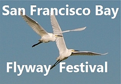 Flyway Festival Logo