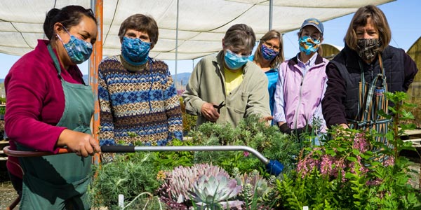 2021_Santa-Cruz_plant-sale_people_volunteers_Jackie-Pascoe_e