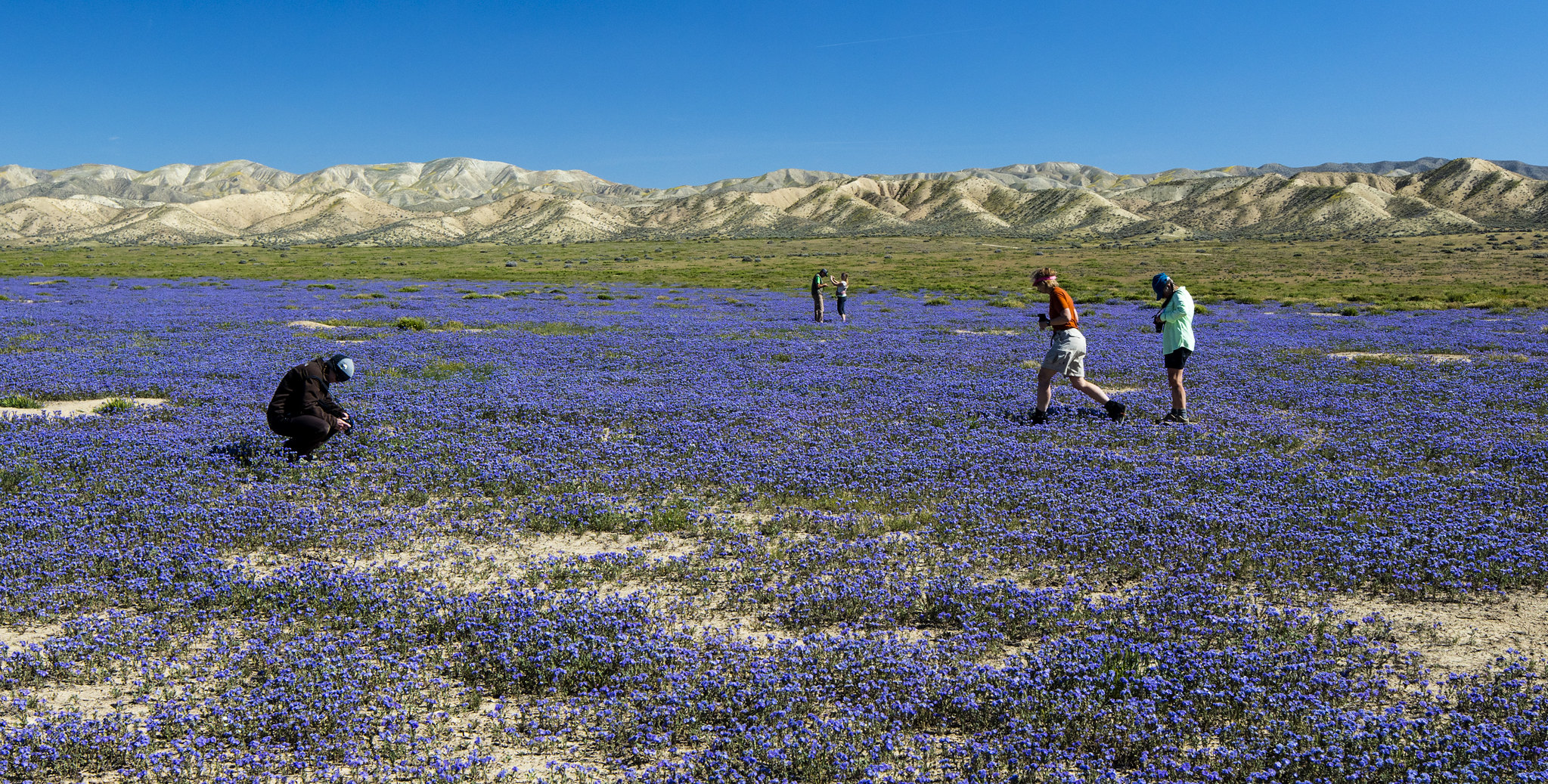 Carrizo Plain