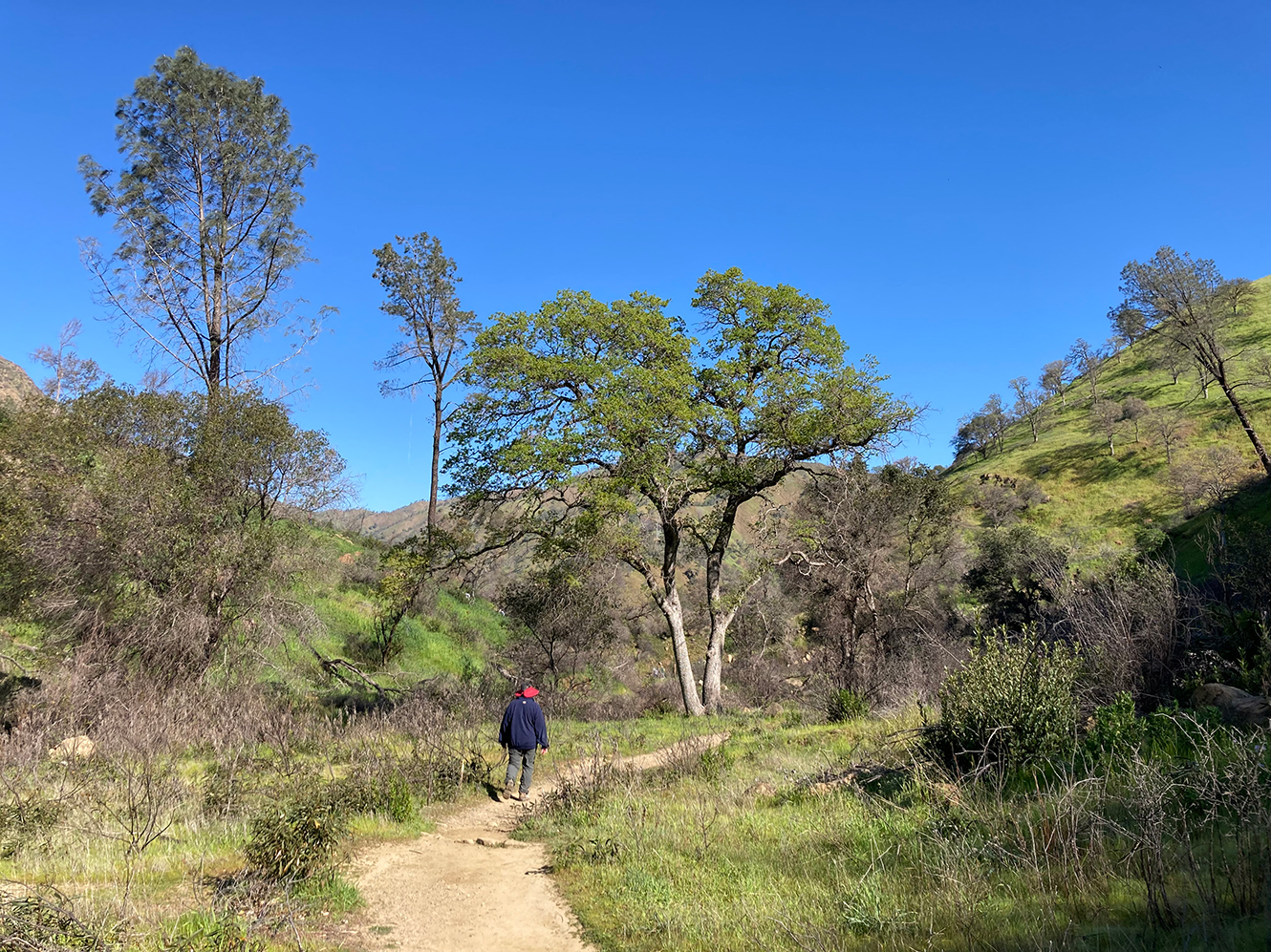Homestead Trail in Cold Canyon