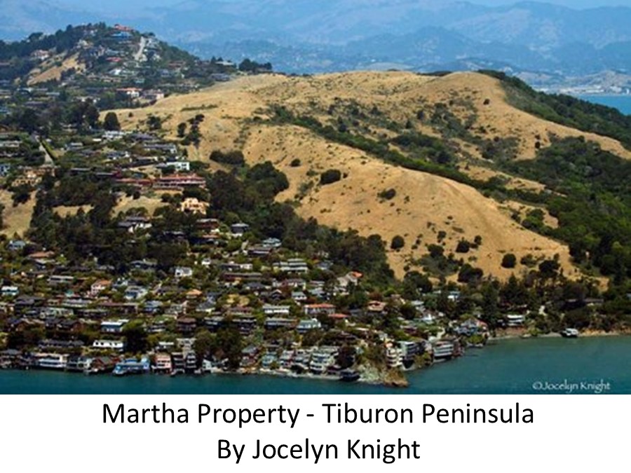 Martha Property Jocelyn Knight