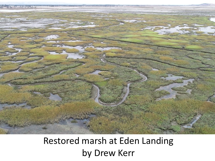 California Native Plant Society