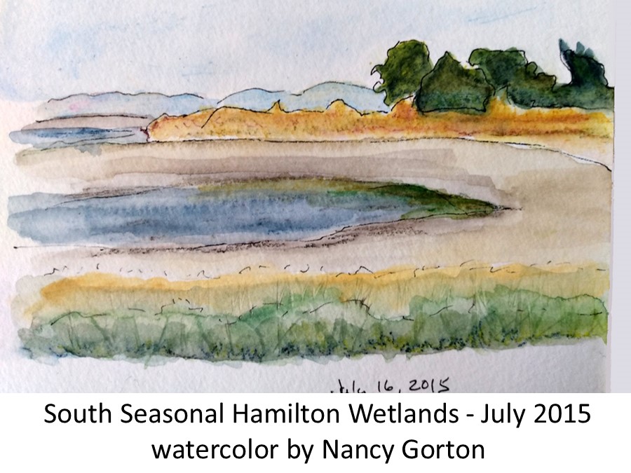 Seasonal wetlands July 2015 Nancy Gorton