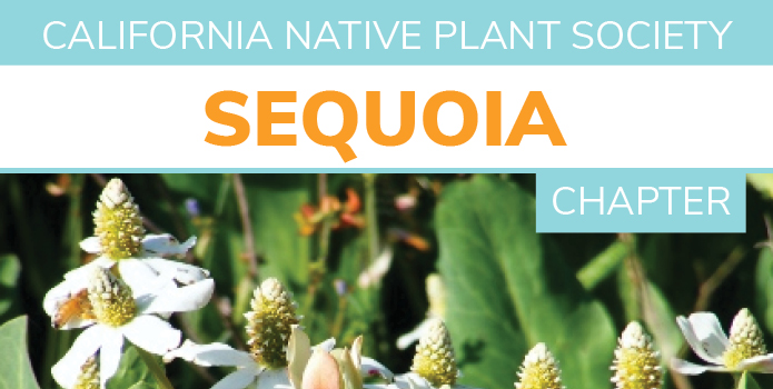 Sequoia-chapter-banner