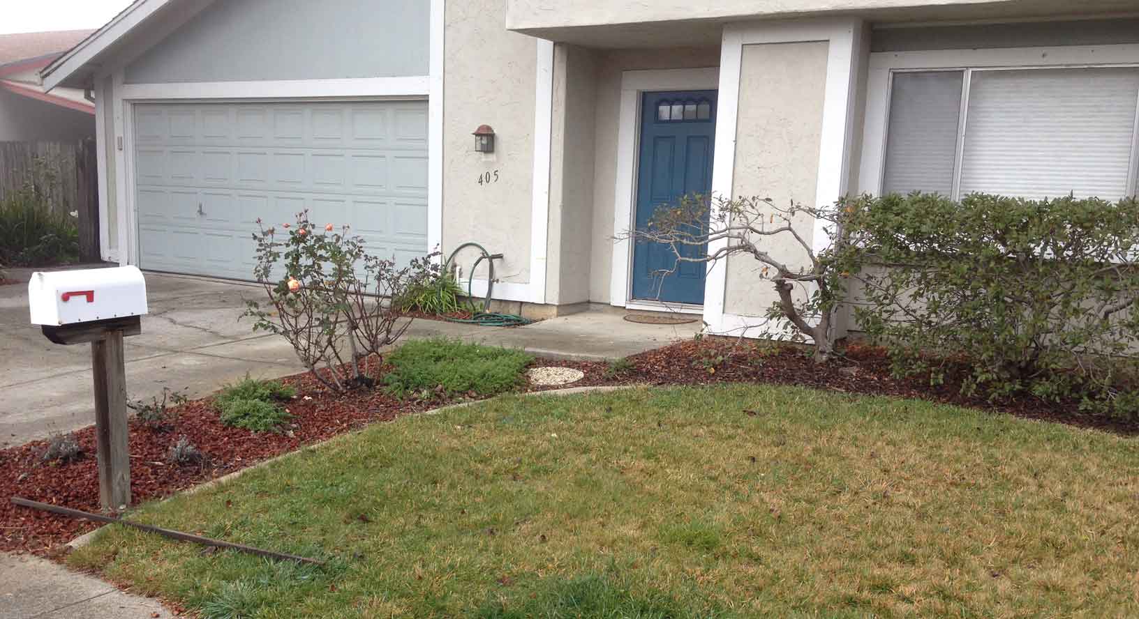 Before Sheet Mulch