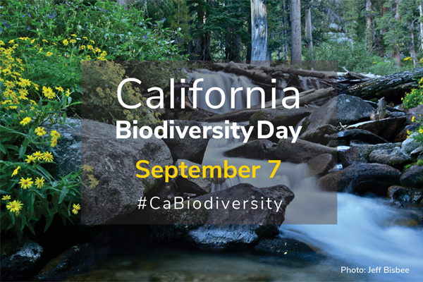 Biodiversity Day graphic