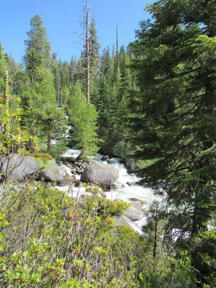 Caples Creek in Kyburz