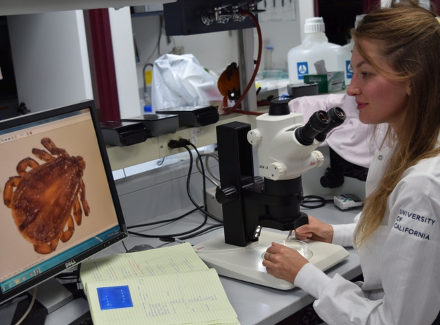 Center for Environmental Inquiry lectures