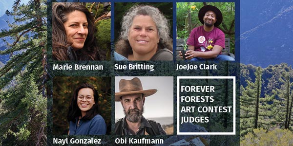 Forever Forest Art Contest Judges
