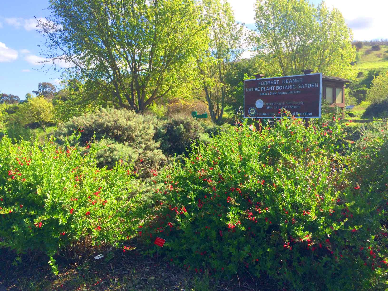 Botanic Garden Entrance