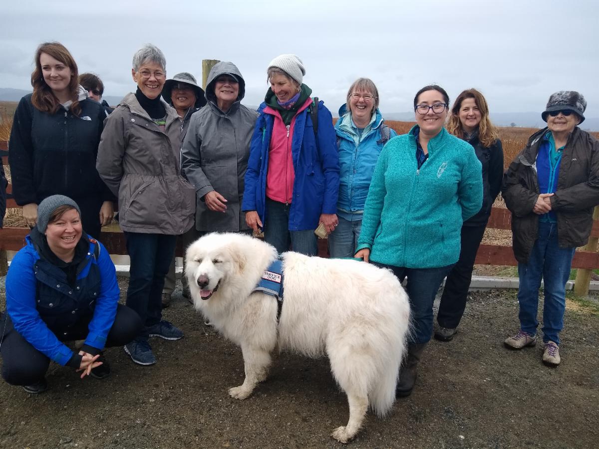 Participants who hiked to Springs Branch on Rush Ranch