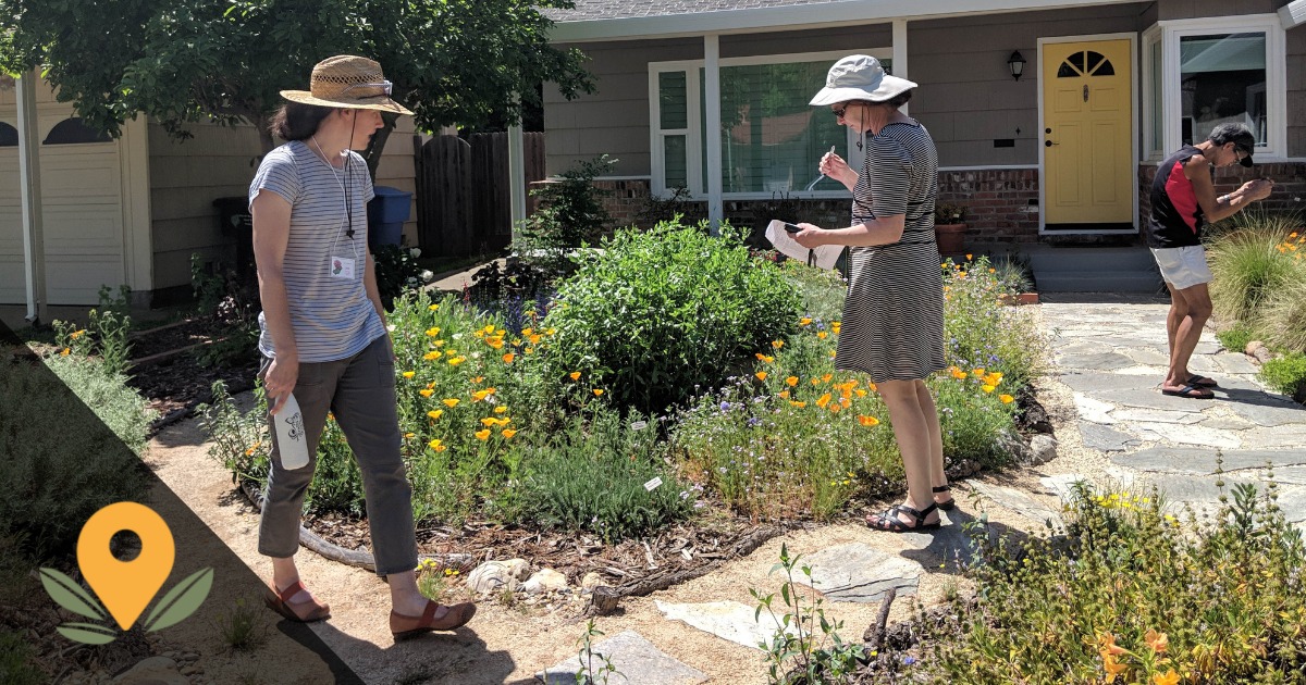 CNPS Lawn Replacement