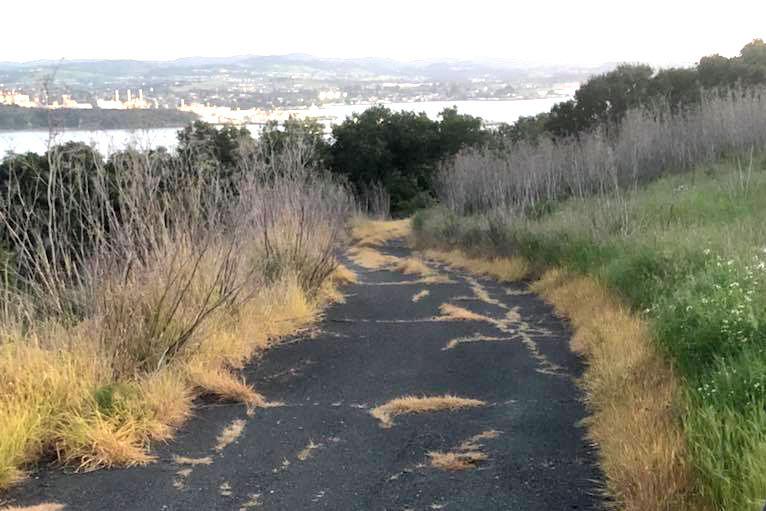 Mare Island Trail