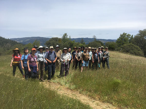 Porterfield Open Space plant walk