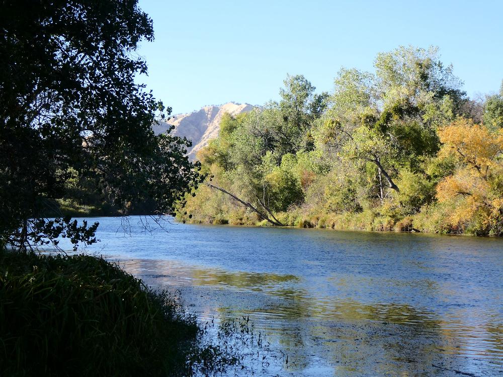 Putah Creek near Lake Solano