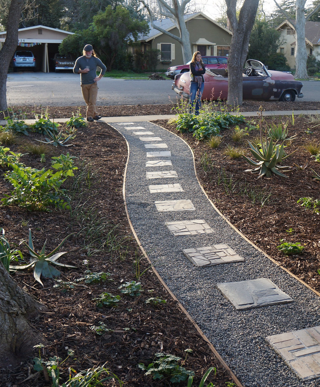 Sheet Mulched Yard