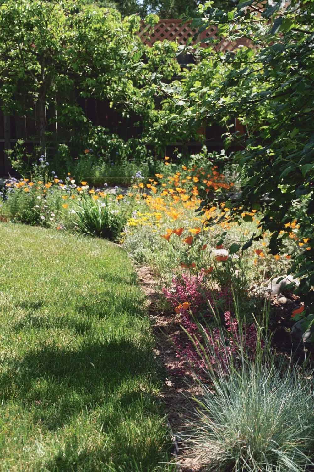 Spring garden