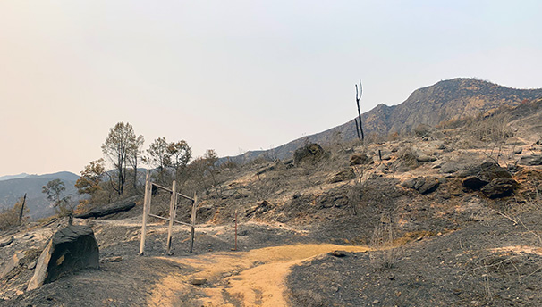 Stebbins Cold Canyon Reserve